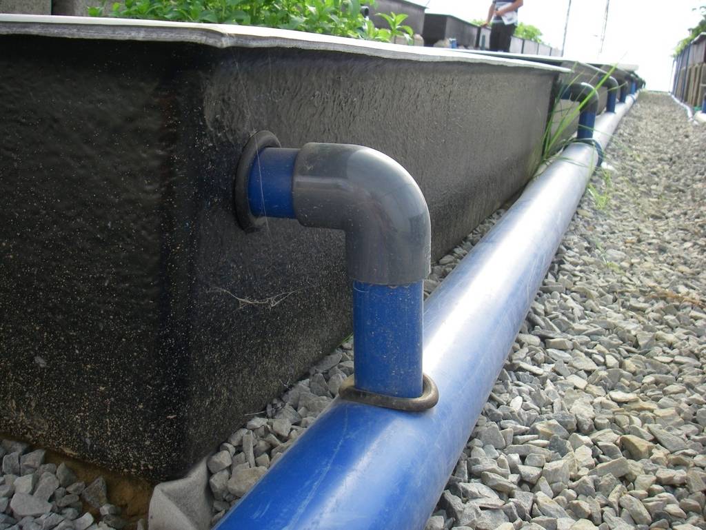 Aquaponics farming in tamilnadu