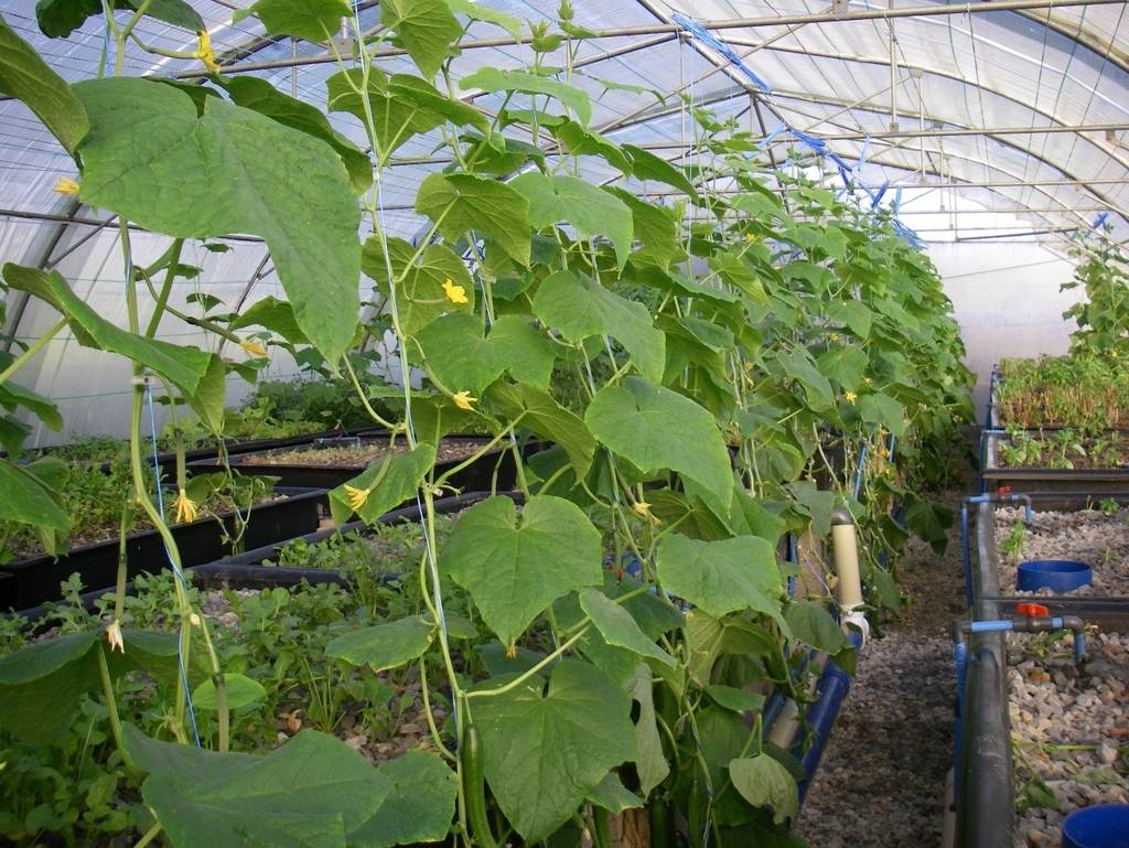 smart farming technologies cc certification - smart